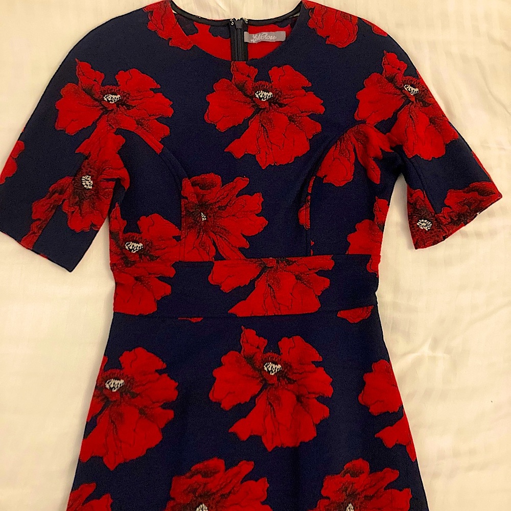 Lela rose floral peplum top
